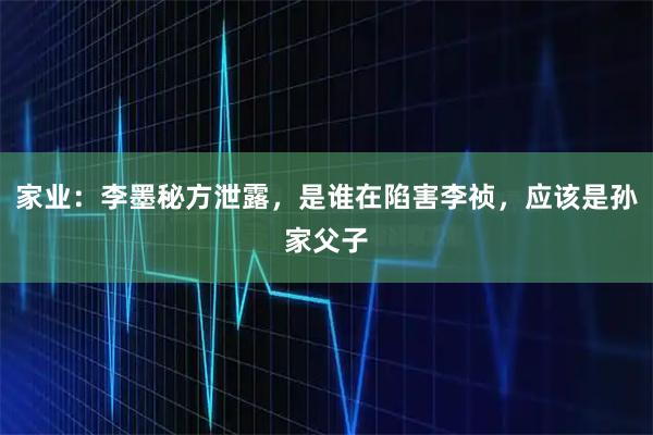 家业：李墨秘方泄露，是谁在陷害李祯，应该是孙家父子