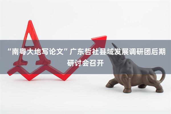 “南粤大地写论文”广东哲社县域发展调研团后期研讨会召开
