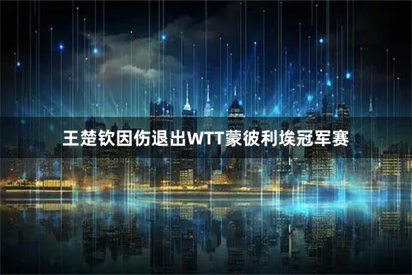 王楚钦因伤退出WTT蒙彼利埃冠军赛